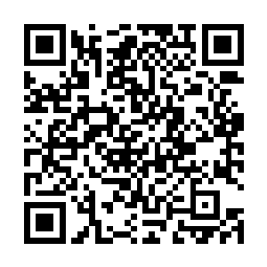 林烽肯定会被唐文举的两个特种兵保镖一顿胖揍和折磨二维码生成