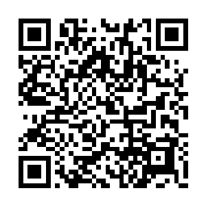 林烽自然也不愿意就这么空着混赌博种子在这里二维码生成