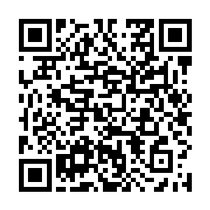 林烽认出了带头的那只狗王是自己救过的那只黄色土狗二维码生成