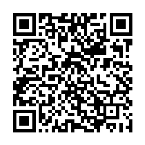 林烽起码将他们每个人的肋骨和胸骨都给打断了几根二维码生成