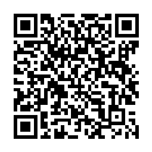 林烽越来越觉得长白山秘境像是修真者制造的一个遗留洞府二维码生成