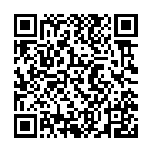 林烽身上的气息也随着时间的推移开始一点点的推迟二维码生成