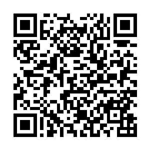 林烽还巴不得天天能够看到美丽刁蛮的空姐罗卿卿呢cad二维码生成