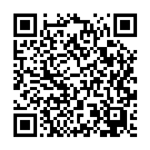 林烽还打算一会儿拿出两串手链来送给萍姨和姥姥来着呢二维码生成