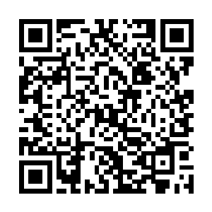 林烽这才可以和铃铛一起毫不犹豫就斩杀了那两个家伙二维码生成