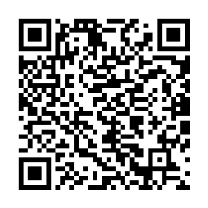 林烽连当时朱耷画这一幅画时候每一笔一画是怎么落下去的二维码生成