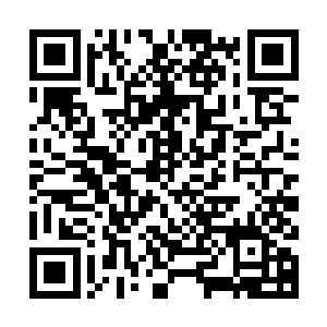 林烽顺道从兜里面将那只从天山带回来的寻宝鼠轻轻地拿了出来二维码生成