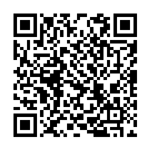 林煦正在办公桌前认真地审阅着上季度的财务报表二维码生成