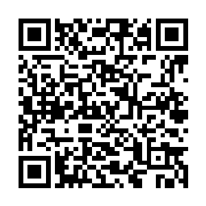 林煦犯得着用这种交代后事一样的口吻来说这个吗二维码生成