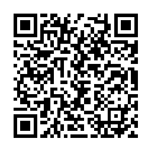 林秋生聪明的没有去问秦宇张凤华找他是什么事情二维码生成
