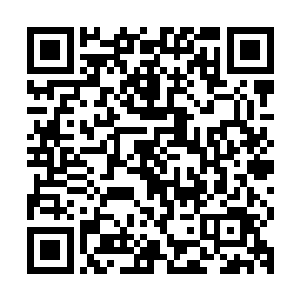 林笛那张胖脸同时也嗖的一下从监控室的大玻璃外面消失不见了二维码生成