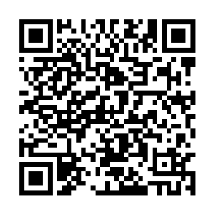 林老一把拉扯住驼背老者的袍袖就往店铺里面走去二维码生成