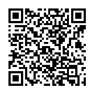 林若溪才签署完三家联合对付许家东华科技的合同二维码生成