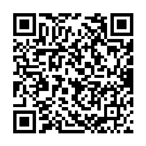 林若溪跟莫倩妮一同带着财政部的人前往海南渡假二维码生成