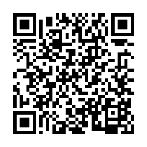 林若溪跟蔡家姐妹都错愕地看着突然走来的杨辰二维码生成