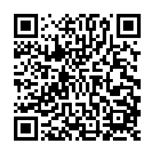 林若溪顿时感受到全身的经脉里开始充斥着无与伦比的澎湃灵气二维码生成