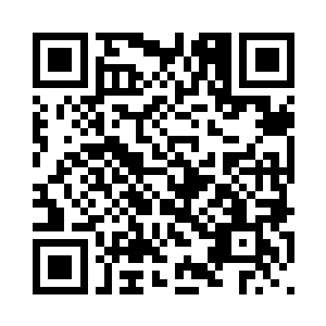 林若烟看了一眼白振东手里的手机二维码生成