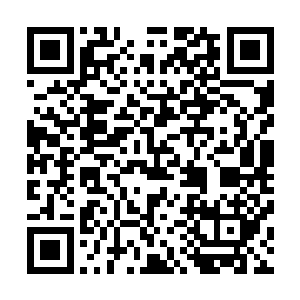 林茂盛靠着自己多年在陈家积累下来的人脉关系和经商能力二维码生成