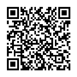 林辰不会傻到认为那两名西服中年会带着千岛雪子跳崖二维码生成