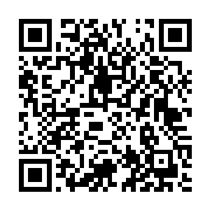 林辰之所以这么开口也是想要帮雪无修争取些时间二维码生成