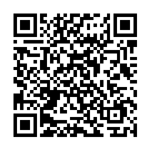 林辰听后却是有些疑惑的看向桌子上的两个小红本子二维码生成