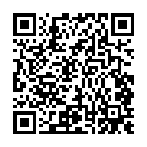 林辰在着白清明的心中已经认定为一名不可多得的天才二维码生成