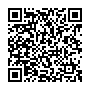 林辰已经通过灵识感知到了前来的几人究竟是谁二维码生成