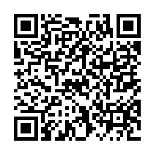 林辰忽然怀念起了自己当初刚刚重生来到苏杭的那一刻二维码生成