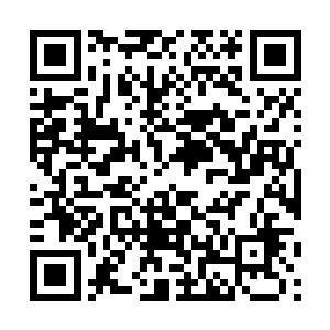 林辰忽然想起了那还一个人呆在cj大学周围别墅中的吴莹莹二维码生成