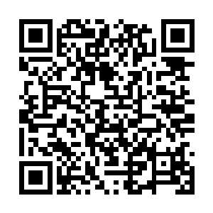 林辰有些不太确信的对着身旁的雪无修出声询问道二维码生成