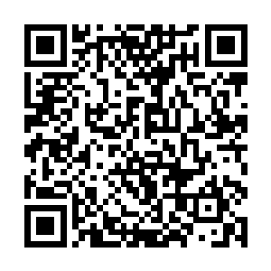 林辰没想到自己释放元灵之气时居然会被对方所察觉二维码生成