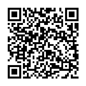 林辰的脑海中却是突然想起了自己的表妹吴莹莹二维码生成