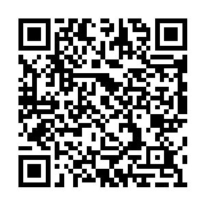 林辰看着眼前瞳孔之中还带着些许惊惧的吴莹莹二维码生成