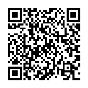 林辰见后不由笑着站起身来对着二老很有礼貌的打了声招呼二维码生成