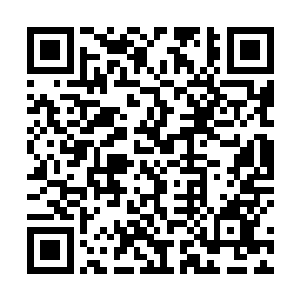林辰那原本有些欲哭无泪的表情却是瞬间变得好奇起来二维码生成