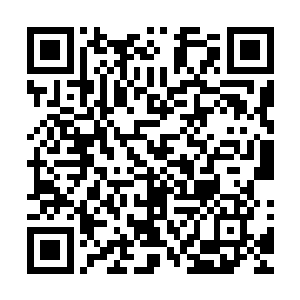 林铭下意识的从须弥戒中取出了雷慕白留下的那一套上古魔卷二维码生成