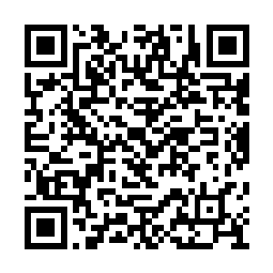 林铭不怕钟文舒去找圣武府三杰联合起来对付他二维码生成