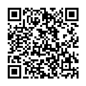 林铭与造化老人一起向中千世界核心的灵脉之源走去二维码生成