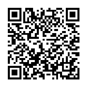 林铭与造化老人似乎是通过了一层薄薄的空间障壁二维码生成