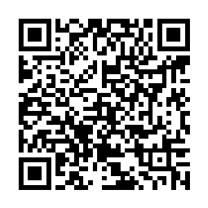 林铭两招内击败静婵玉也没能给他带来太多的加分二维码生成