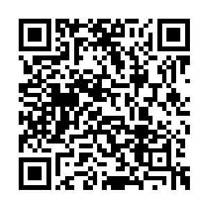 林铭以残缺的混元武意对抗冰梦完整的神梦法则二维码生成