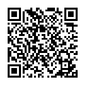 林铭刚刚将冲入他体内的暴虐火之元气转化了不到一成二维码生成