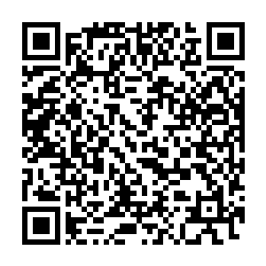 林铭在保证根基扎实的情况下至少要大半年到一年的时间才能突破二维码生成