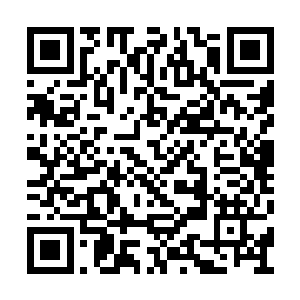 林铭明明是在图腾塔之中参悟了一年的混沌石刻二维码生成