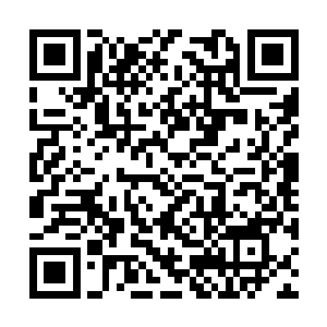 林铭的枪招之中蕴含了一道吞噬一切的灰黑色光线二维码生成
