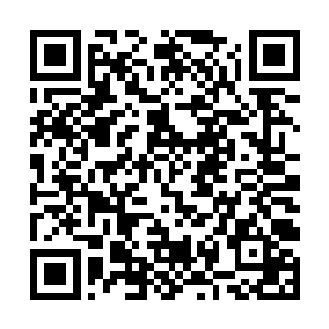 林铭瞬间就找到了杨振口中所说的新任七玄武府府主二维码生成