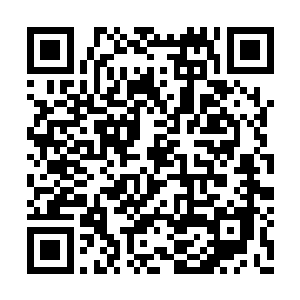 林铭硬生生的挣断了黑铁老二缠住他身体的手脚二维码生成