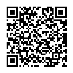 林铭自信用不了多久他就能在外界击杀旋丹高手了二维码生成