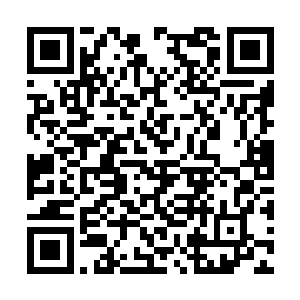 林铭随同两名妖精族侍女一起来到了通天塔第四层二维码生成