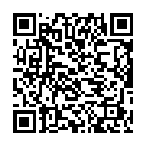 林锐以前也被这样死死地扼住过咽喉过在西伯利亚训练营二维码生成